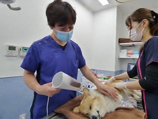 覚醒の見守り