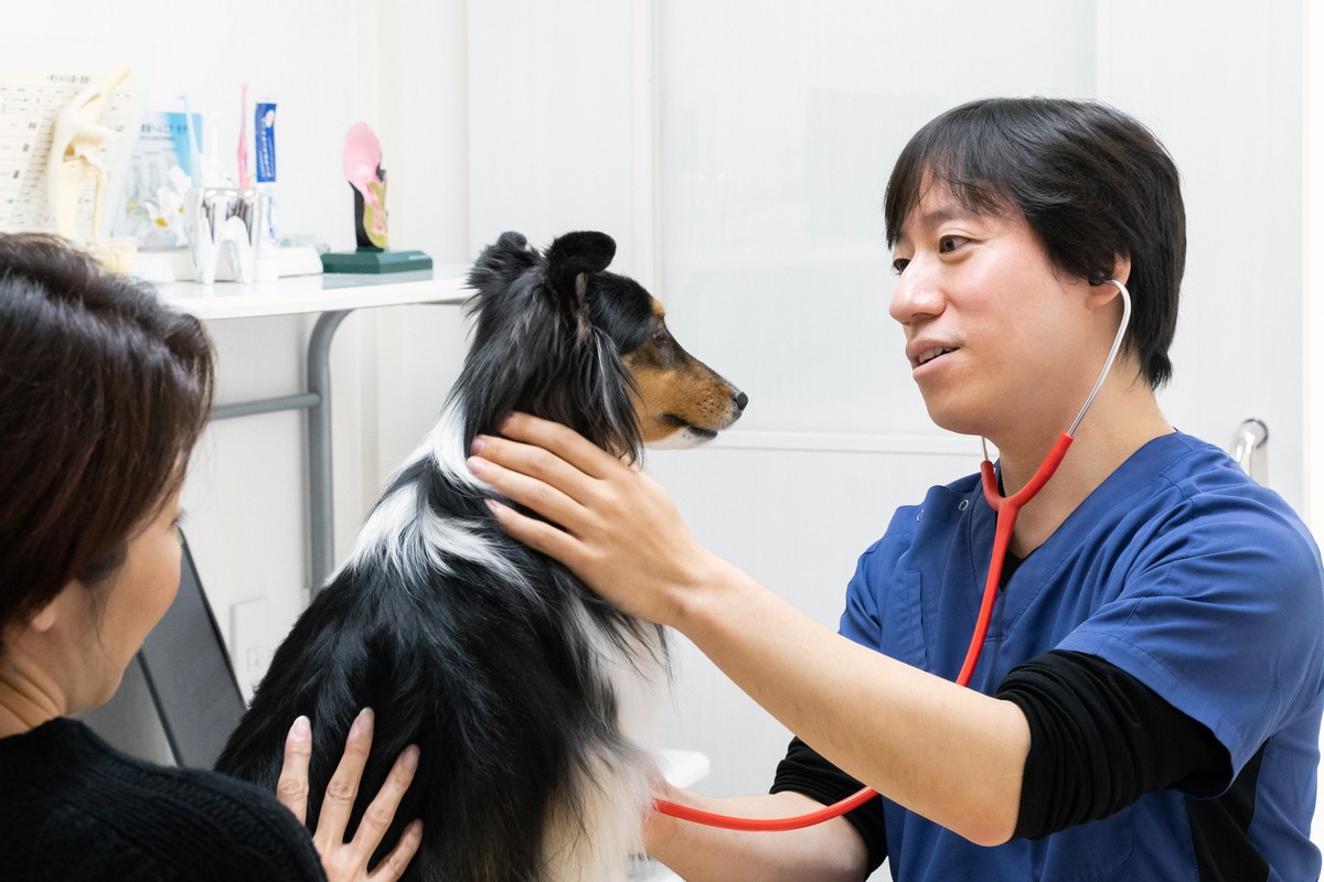診察室での診察の様子
