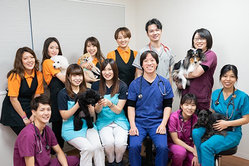 荻窪ツイン動物病院のスタッフ